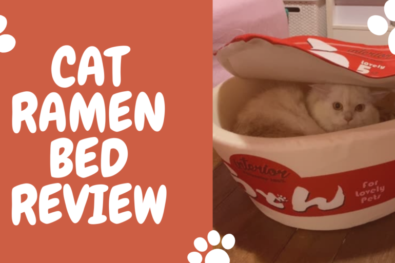 cat ramen bed review